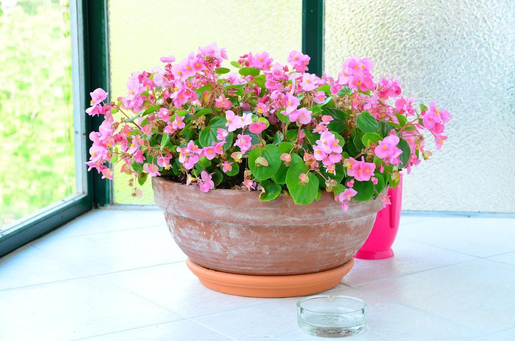 Apartment Cvetje ซาเกร็บ ห้อง รูปภาพ